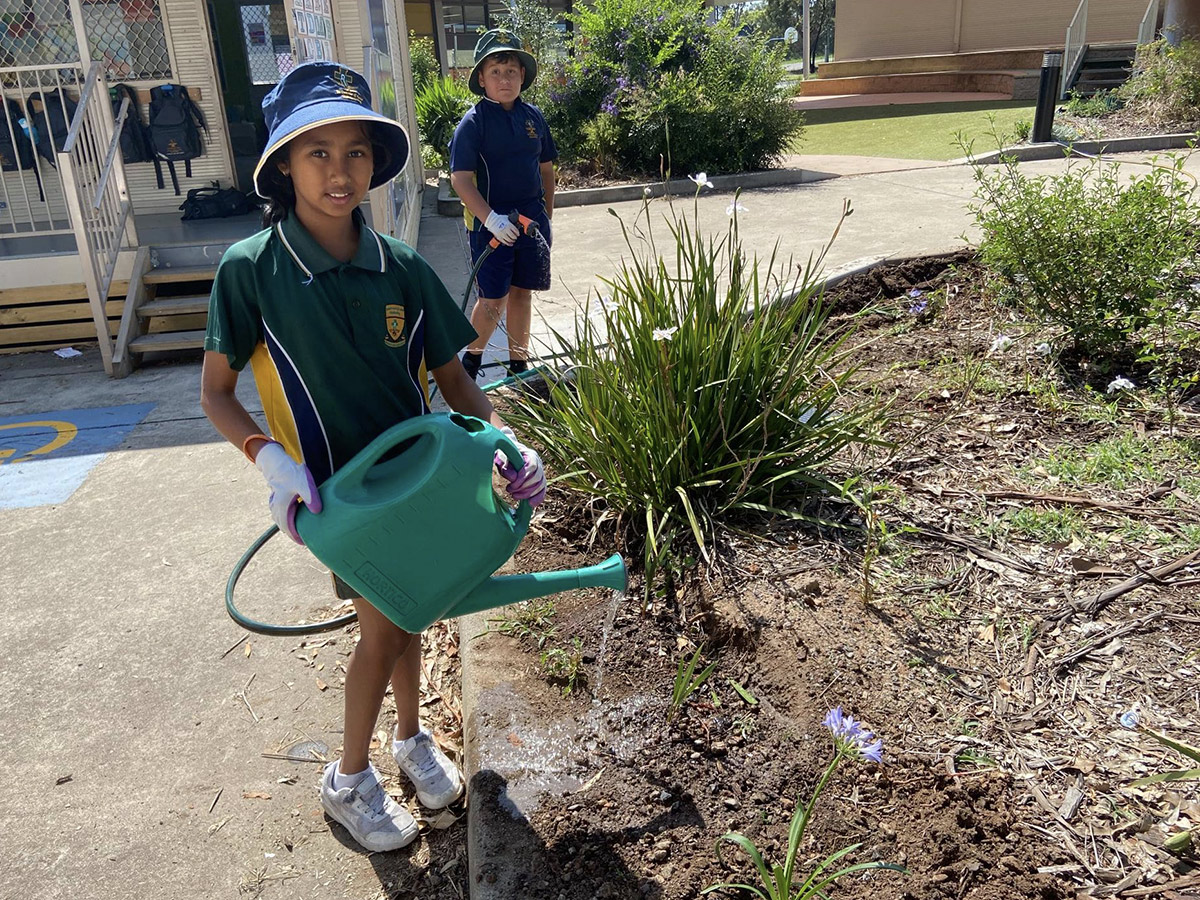 2020 St Francis of Assisi Primary Garden