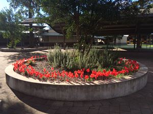 ANZAC Garden (3)
